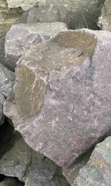Скальник мрамор серо-фиолетовый